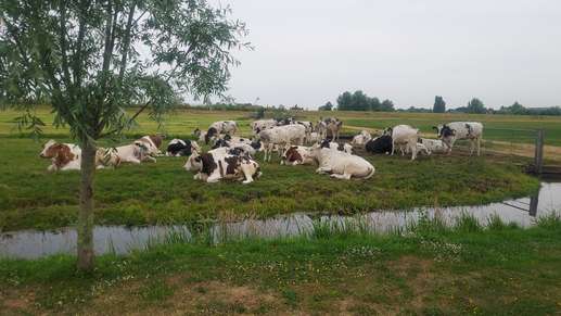 Een foto toegevoegd aan een locatie