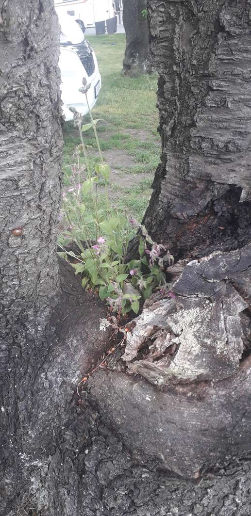 Ajout d'une photo à un emplacement