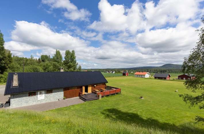 Skogcamping/Waldcamping