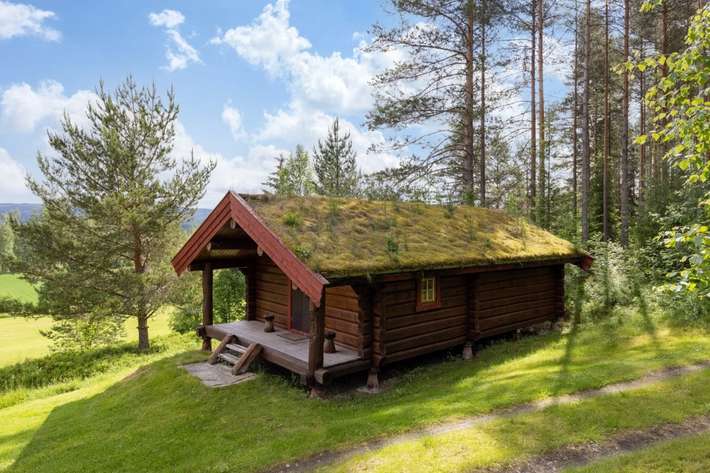 Skogcamping/Waldcamping