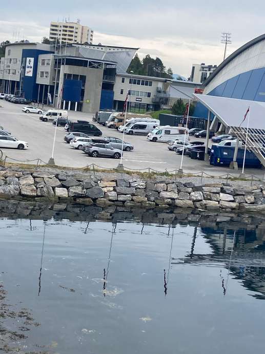 Een foto toegevoegd aan een locatie