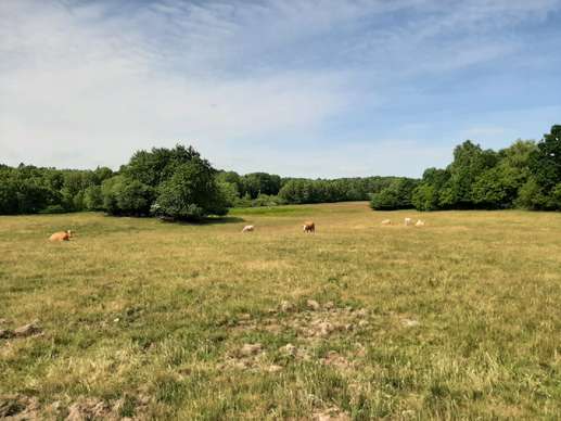 Added a photo to a location