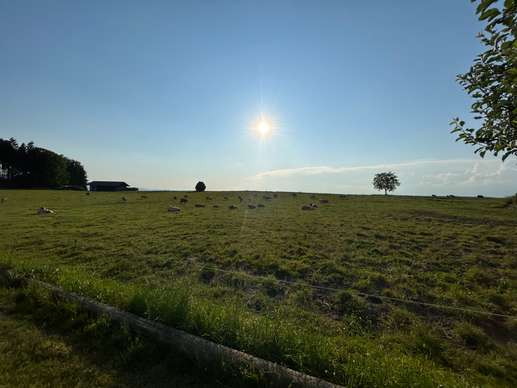 Ajout d'une photo à un emplacement