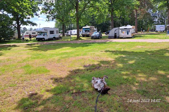 Östanå Camping