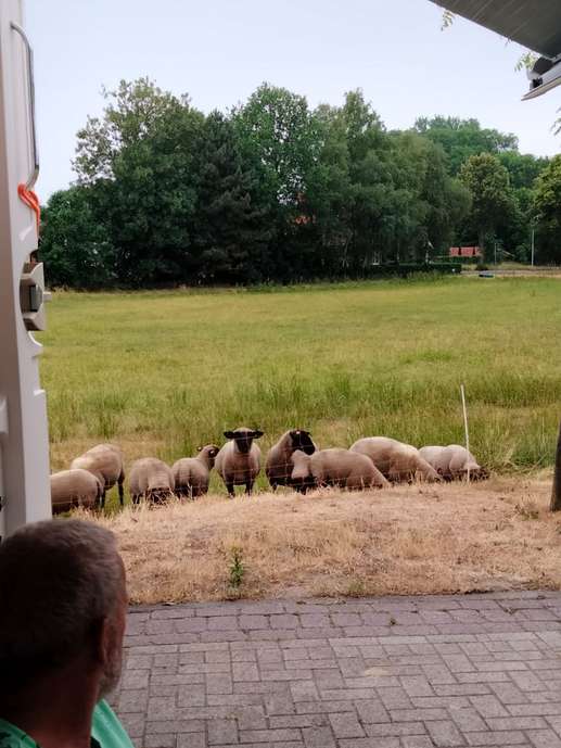 Added a photo to a location
