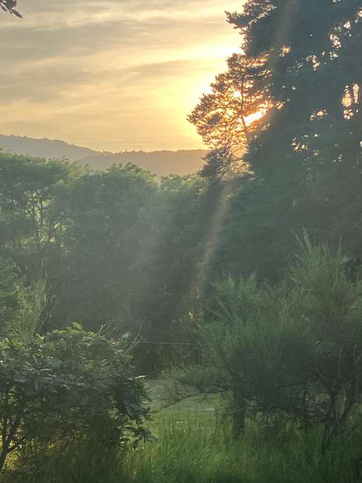 Aggiunta una foto a una posizione