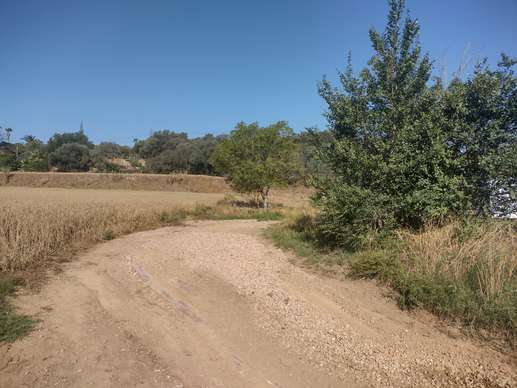 Een foto toegevoegd aan een locatie