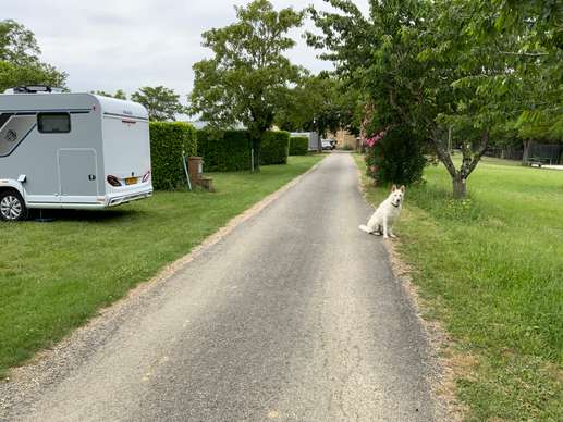 Een foto toegevoegd aan een locatie