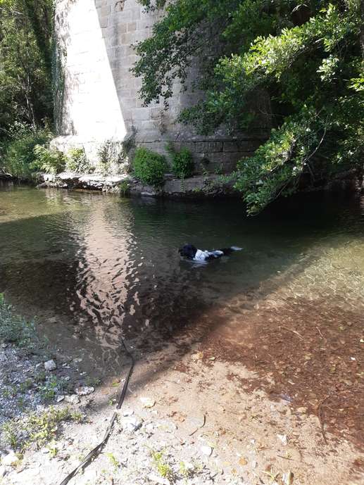 Een foto toegevoegd aan een locatie