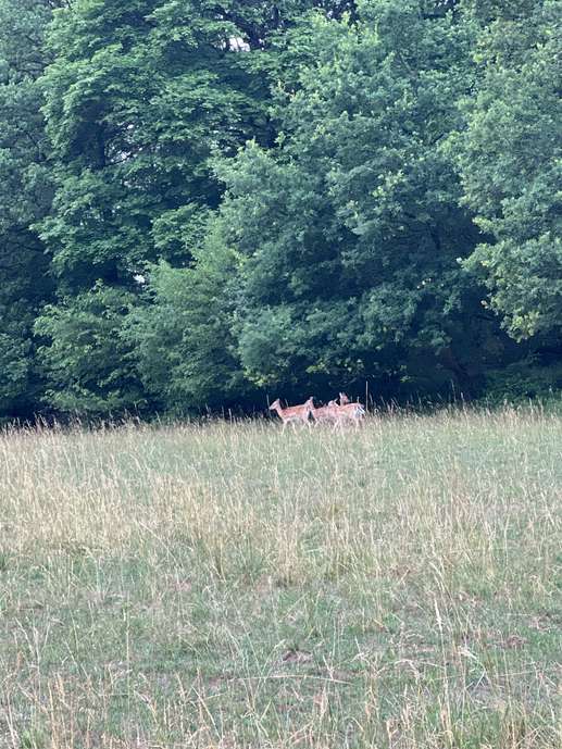 Added a photo to a location