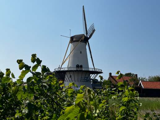 Een foto toegevoegd aan een locatie