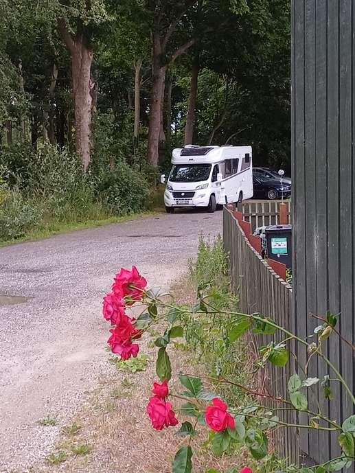 Een foto toegevoegd aan een locatie