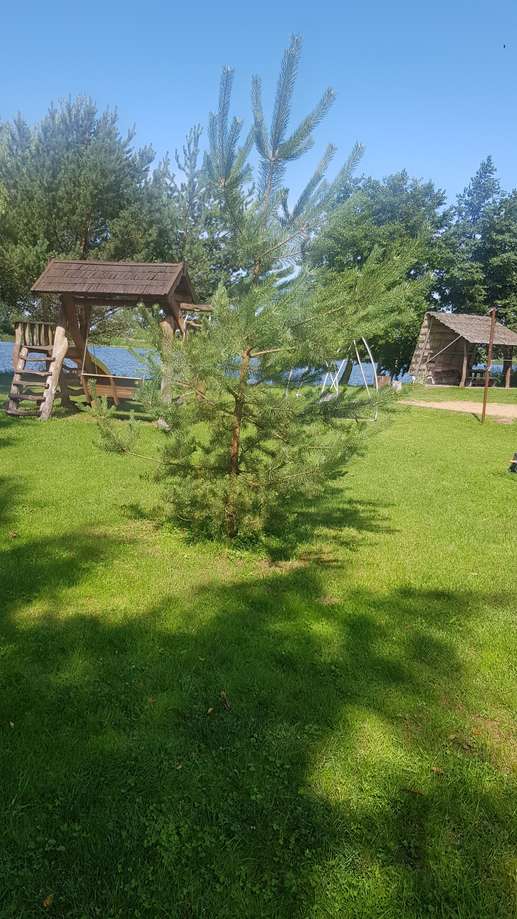 Added a photo to a location
