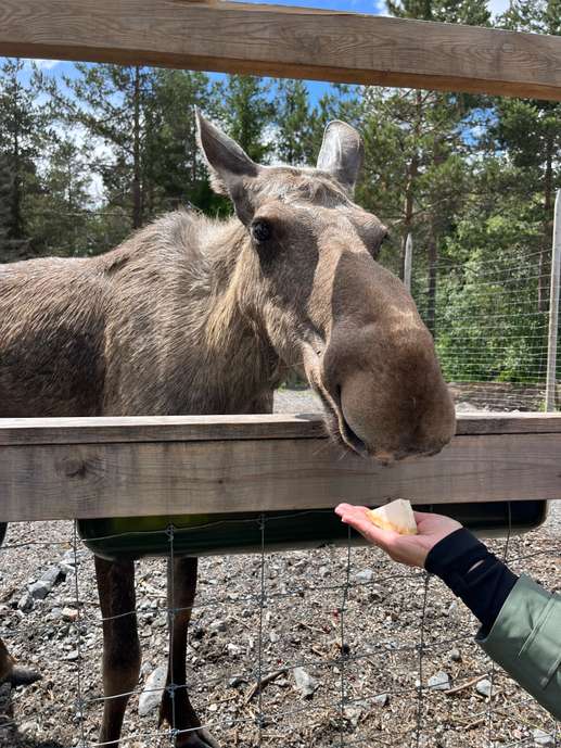 Einem Ort wurde ein Foto hinzugefügt