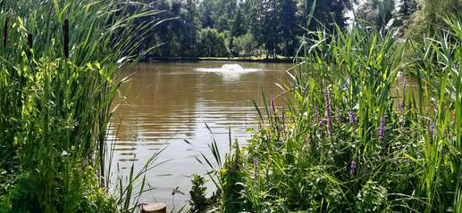 Added a photo to a location