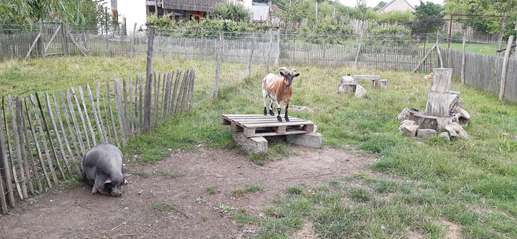 Added a photo to a location