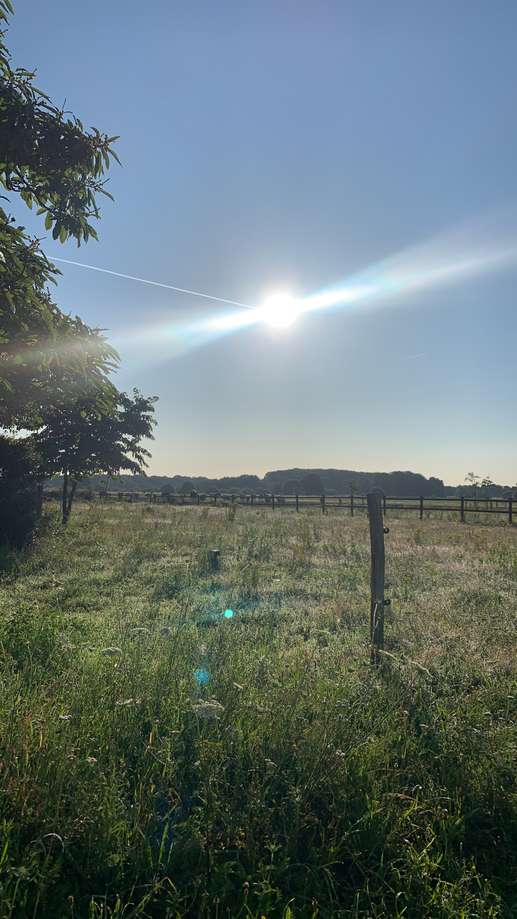 Added a photo to a location