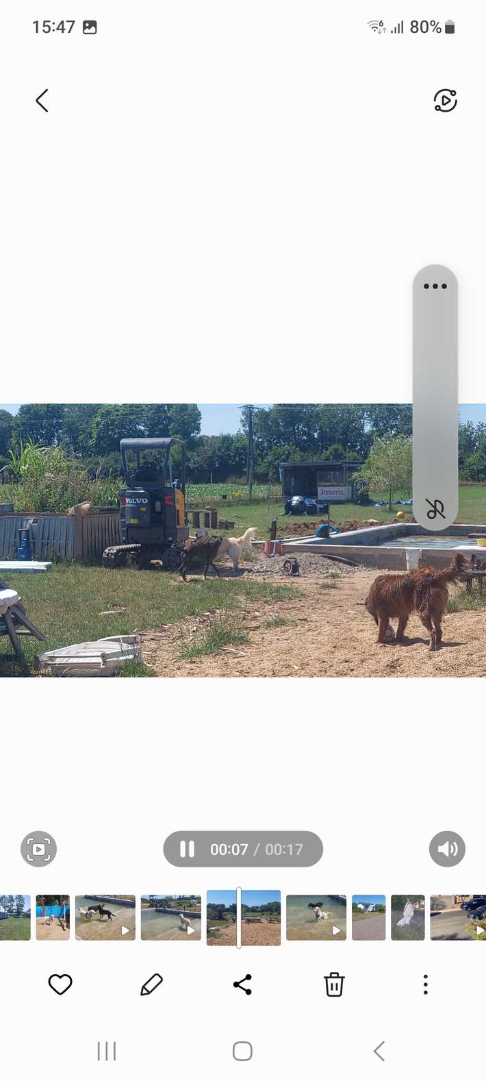 Wohnmobilstellplatz Hundetreff Goch