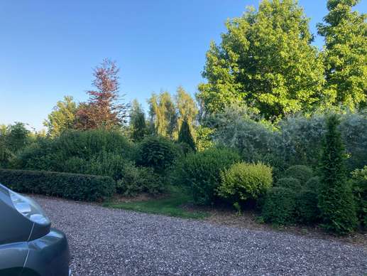 Added a photo to a location