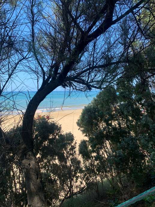 Added a photo to a location
