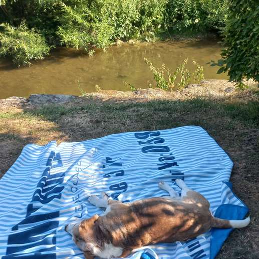 Een foto toegevoegd aan een locatie