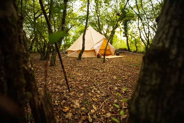 Camp Ćuk