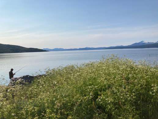 Added a photo to a location