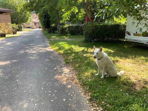 Een foto toegevoegd aan een locatie