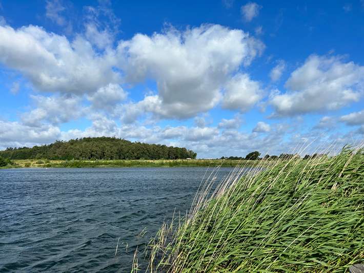 Ibsjergsporet