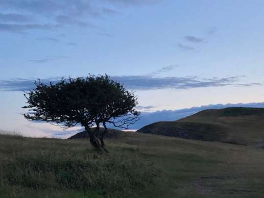 Ajout d'une photo à un emplacement