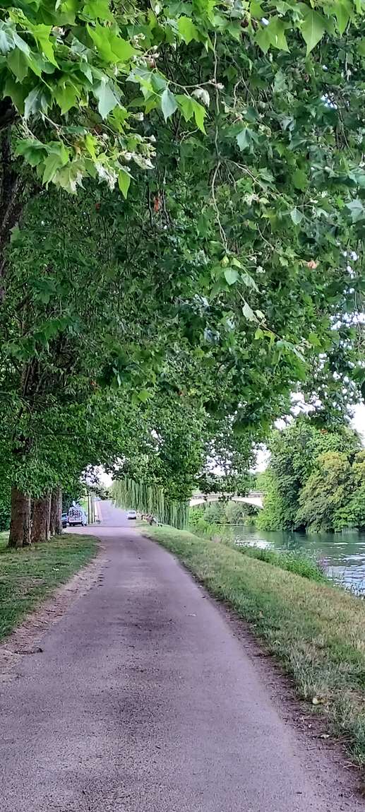 Added a photo to a location