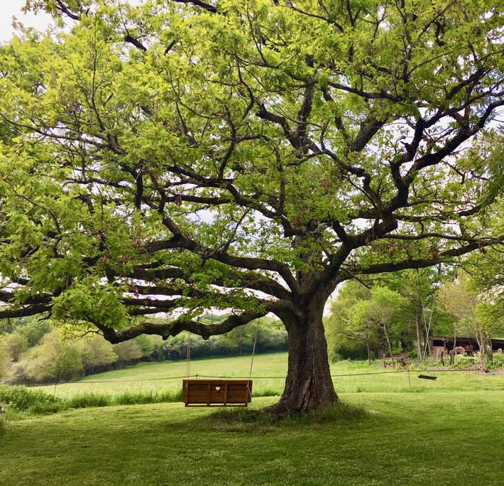 Domaine Le Rianon 