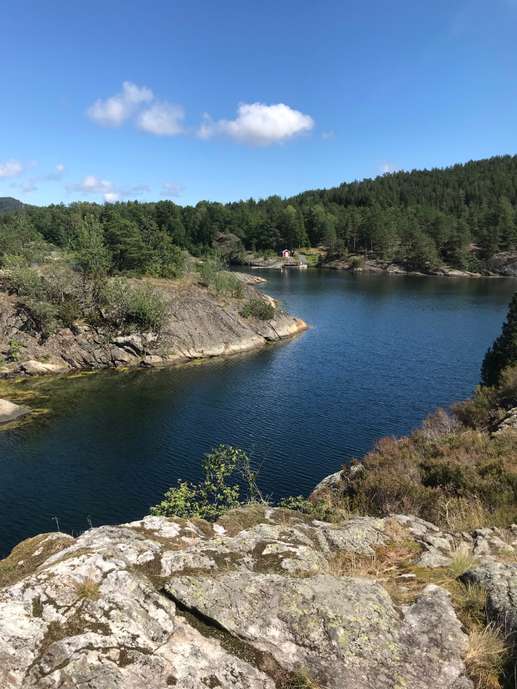 Een foto toegevoegd aan een locatie