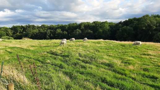 Een foto toegevoegd aan een locatie