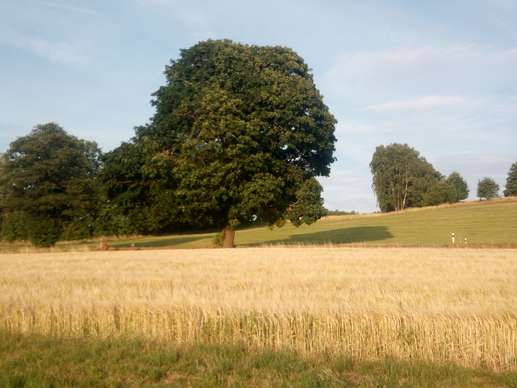 Added a photo to a location