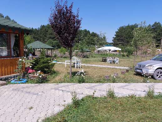 Added a photo to a location