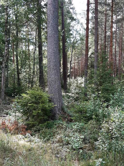Added a photo to a location