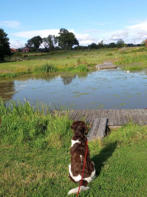 Een foto toegevoegd aan een locatie