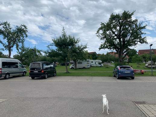Een foto toegevoegd aan een locatie