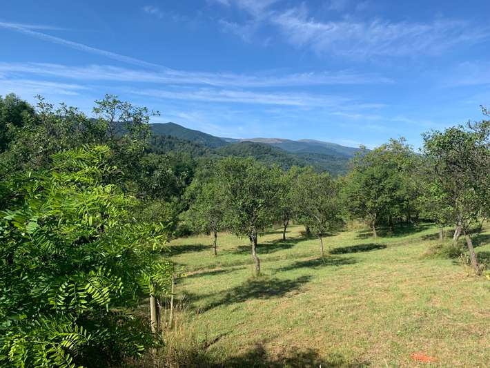 Camping Picnic Merisor