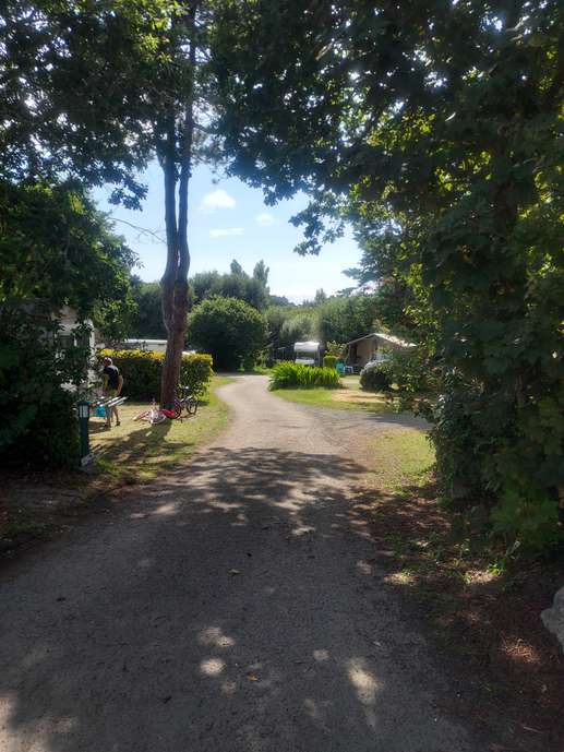Een foto toegevoegd aan een locatie