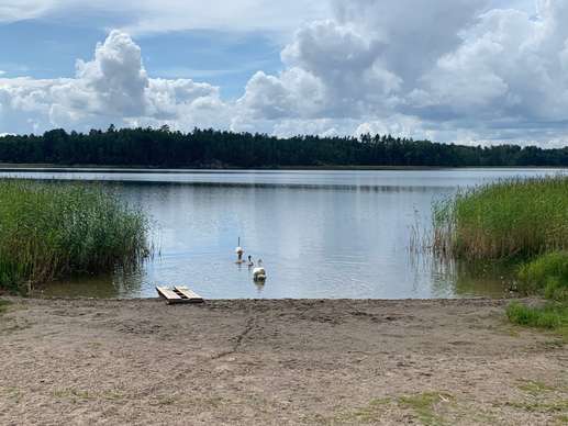 Een foto toegevoegd aan een locatie