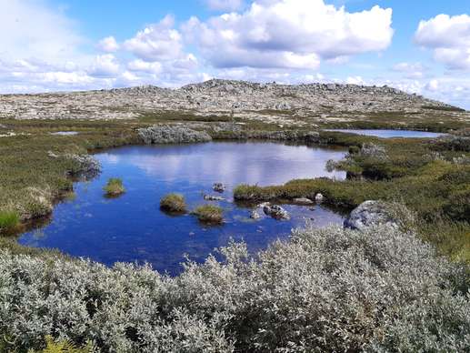 Added a photo to a location