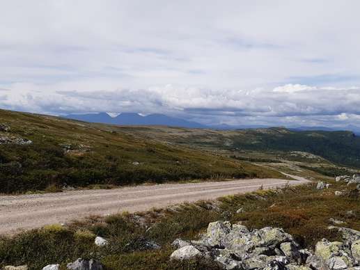 Added a photo to a location