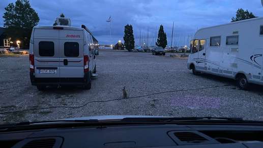 Added a photo to a location