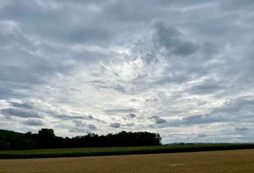 Een foto toegevoegd aan een locatie