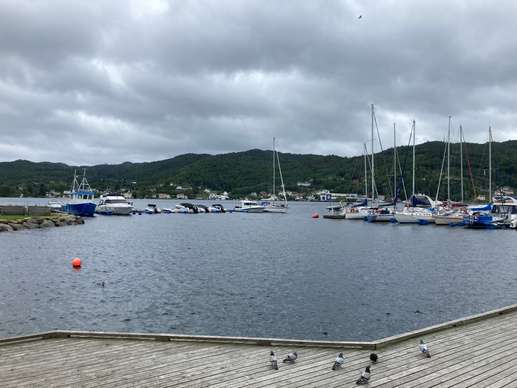 Added a photo to a location