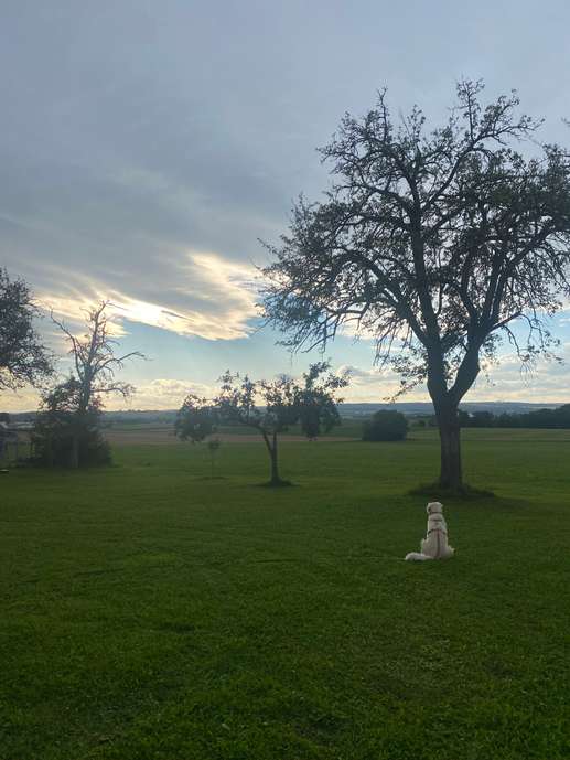 Einem Ort wurde ein Foto hinzugefügt