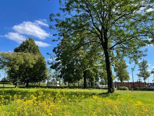 Een foto toegevoegd aan een locatie