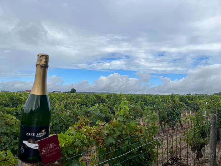 Cava Auger